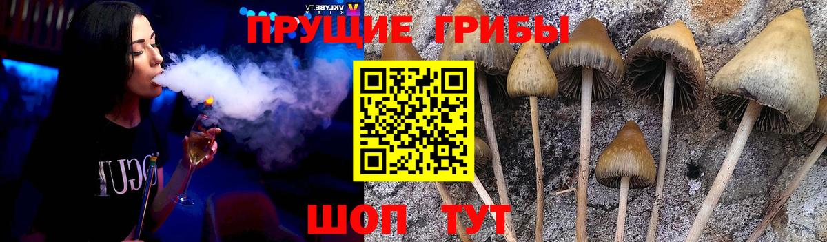 Псилоцибиновые грибы MAGIC MUSHROOMS  Вход с VPN  Избербаш 